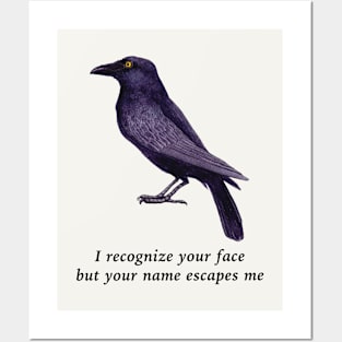 Crows Are Smart, Facial Recognition Joke Posters and Art